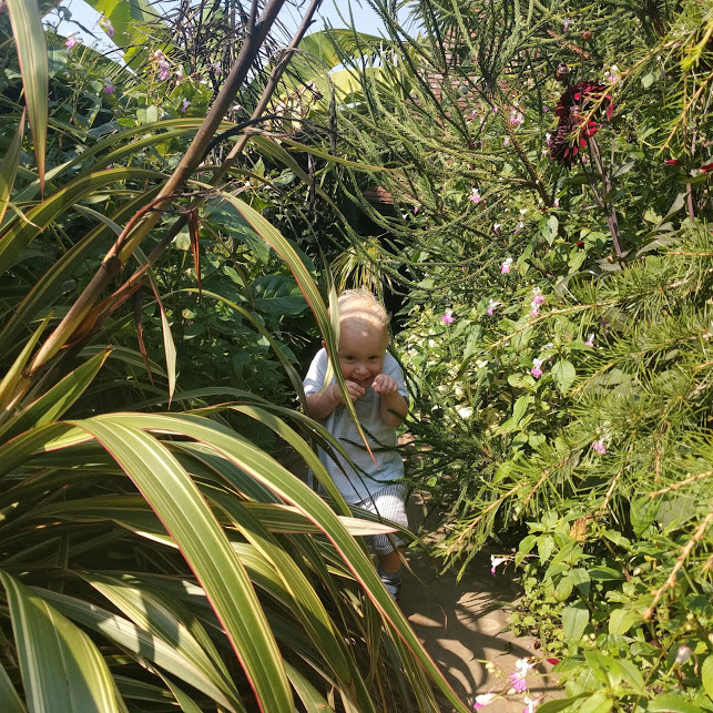 Max pushing his way through the leaves