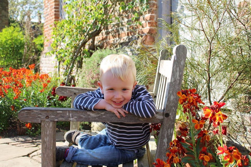 Max sat on wooden chair amongst orange flowers