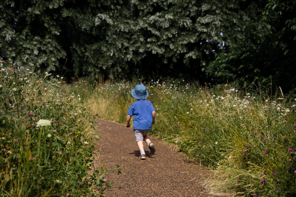 Little boy dressed in blue t-shirt and hat, running up path through the wildflower meadow at Kew Gardens