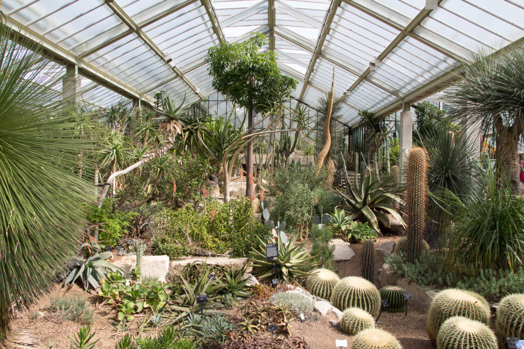 View in the entrance of the Princess of Wales Conservatory at Kew Gardens
