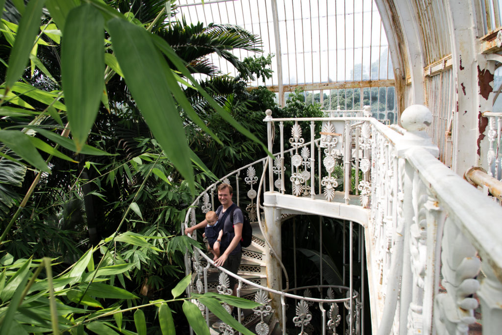 Spiral staircase in the Palm House at Kew Gardens, with man stood on stairs wearing a baby in a carrier