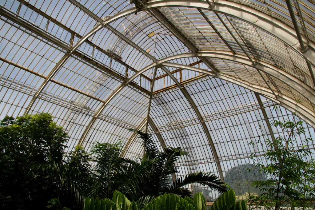 View of the roof of the Palm House at Kew Gardens