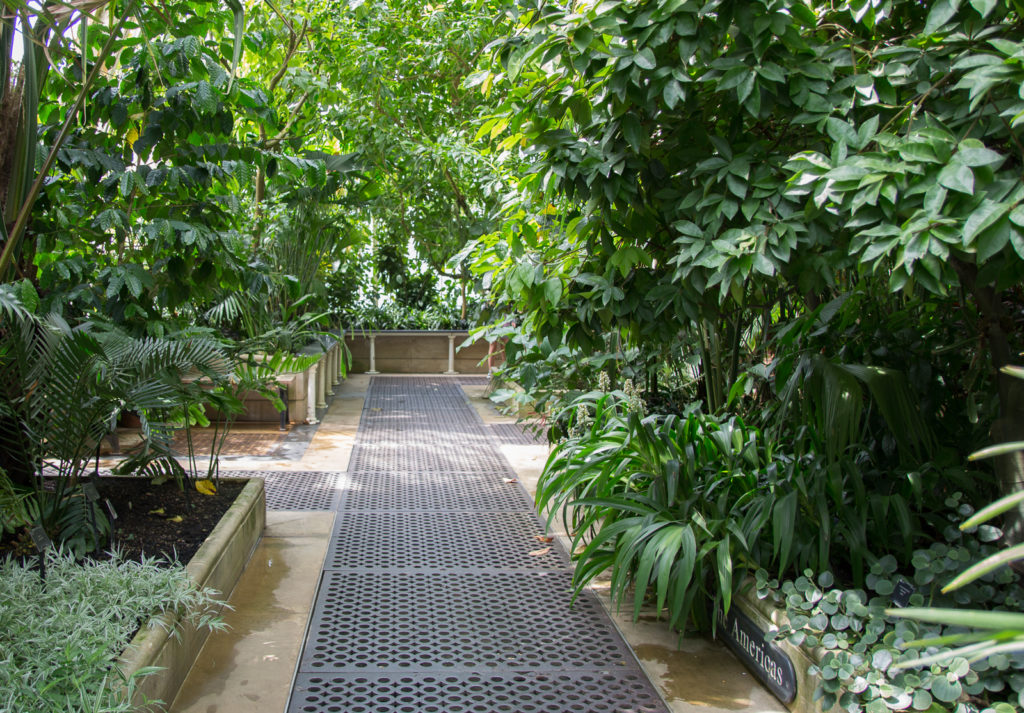 The Palm House at Kew Gardens