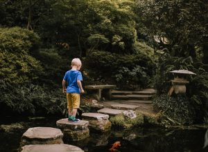 Little boy standing on stepping stones in a Japanese garden. He is wearing a blue t-shirt and yellow shorts and is looking down, contemplating his next step. In the water below, you can see an orange koi carp swimming in the pond